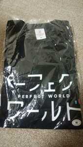  drama Perfect world T-shirt 