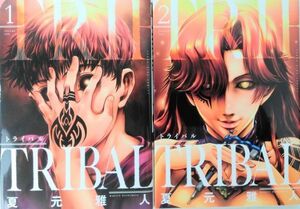 トライバル/TRIBAL/全巻セット/全2巻セット/ヤングキングコミックス/夏元雅人/20104-0132-S57