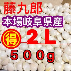 レシピ付きでお得!本場岐阜県産 本家やませき藤九郎銀杏 500g2L
