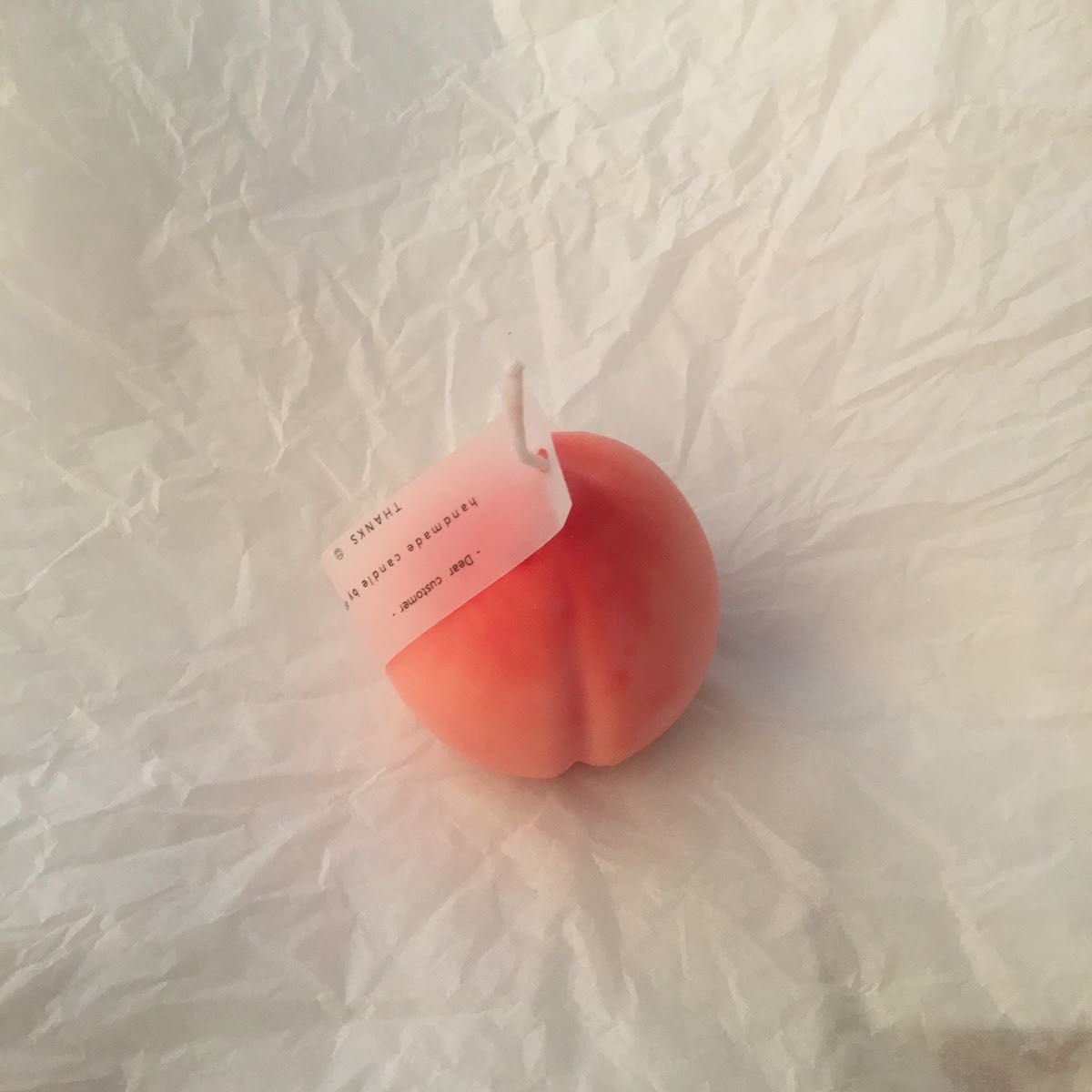 mainタートル¥2500＋送料手数料