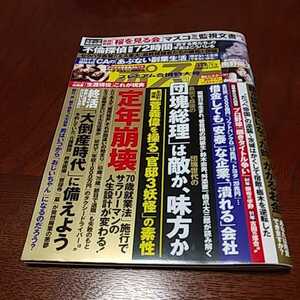 「週刊ポスト 11/6,13」南野陽子、森咲智美