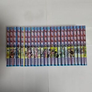 STEEL BALL RUN スティールボールラン 全巻セット