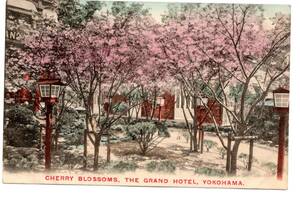 手彩色　　横浜　グランドホテル　Grand Hotel　桜　