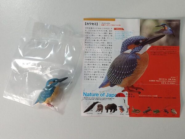 NATURE OF JAPAN 日本のいきもの カワセミ