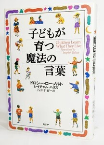 ヤフオク ドロシー ノンフィクション 教養 の中古品 新品 古本一覧 ヤフオク ドロシー ノンフィクション 教養 の中古品 新品 古本一覧