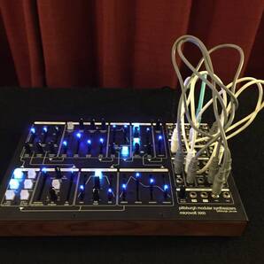 microvolt 3900 + ADMIN製パッチ (開封済みですが動作テストのみ)付属品、元箱 ADMIN製LONGパッチケーブル付き moog モジュラ TB-303 909