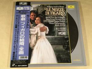 LD( Laser )#mo-tsaruto:..[ Figaro. marriage ] Karl * beige m finger .# with belt excellent goods!