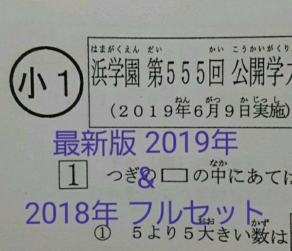 浜学園 小1 最新版 2019年版 & 2018年版 2年分 公開学力テスト
