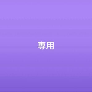 専用2