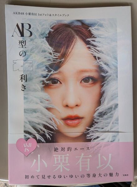 小栗有以 AB型の左利き 写真集 スタイルブック 新品 未開封