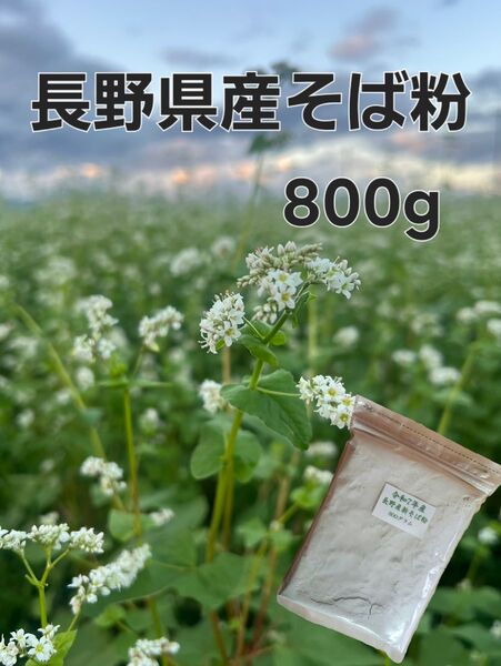 令和7年産 長野県産そば粉 800g 信州そば粉 保存に便利なチャック付き!! 12月15日製粉