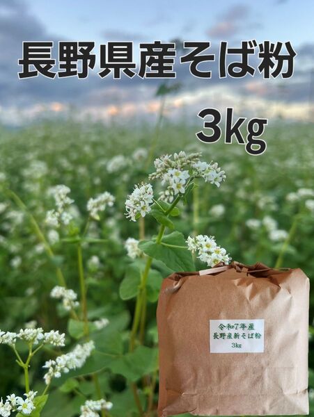 令和7年産 長野県産そば粉 3㎏ 信州そば粉 12月15日製粉