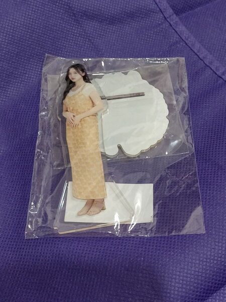 新品未開封 乃木坂46 アクリルスタンド 井上和 真夏の全国ツアー 2023 アクスタ