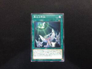 遊戯王 聖なる降誕 ノーマル SLT1 アジア 亜 中古良品 在庫9 ygo