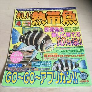  веселый тропическая рыба тропическая рыба . красивый ...10 штук статья!GO~GO~ Africa n эпоха Heisei 15 год 4 месяц 2003 год NO.98 (830)