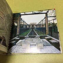 イタリア ポンペイ遺跡の英語ガイドブック Pompei ricostruita. Con DVD. Ediz. inglese_画像3