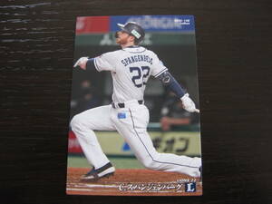 C. Spanjenberg Seibu Lions Treka 2020 Calbie Pro Baseball Chips