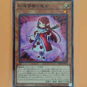 遊戯王 紅蓮薔薇の魔女