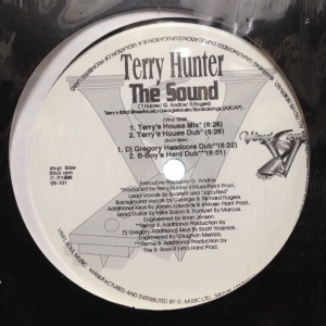 12inchレコード TERRY HUNTER / THE SOUND