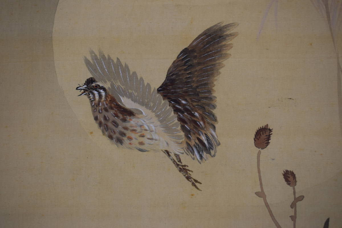 Genuine/Kuresu/Autumn Grass Flowers and Small Birds/Autumn Grass in the Moonlight//Hanging Scroll☆Treasure Ship☆W-999 JM, Painting, Japanese painting, Flowers and Birds, Wildlife