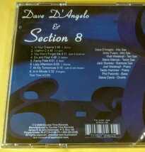 Dave D’Angelo & Section 8 『In A Minute』_画像3