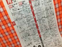 CN16186◆切抜き◇名取裕子柄本明役所広司東ちづる朝丘雪路◇悲しくてやりきれない・山田太一ドラマ・志村けんのだいじょうぶだぁ_画像2