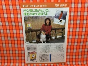 CN16312◆切抜き◇岡安由美子スーパーマン2スターマン2◇MY-LIFE-MY-PET・ボク、雪に目がないの。撮影やめて遊ぼうよ・冒険篇・リターン