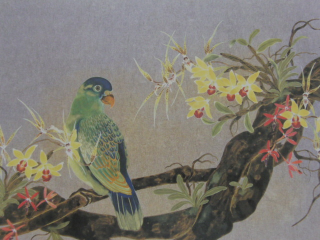 堀川えい子, 【洋鳥】, 希少な額装用画集より, 新品額装付, 状態良好, 送料込み, 絵画, 油彩, 自然, 風景画