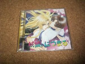 [CD][送100円～] しょせんケダモノ 2 妖狐、につまる 斑鳩サハラ 森川智之×三木眞一郎