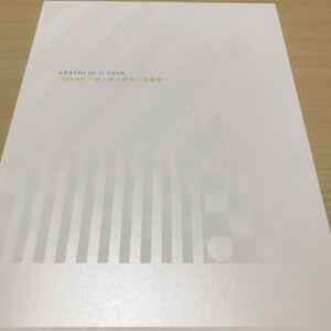 嵐 君と僕の見ている風景 パンフレット