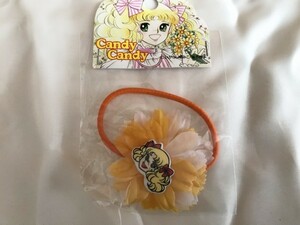 * prompt decision * free shipping * Candy Candy hair accessory flower po knee ( orange ) Igarashi Yumiko Showa era. masterpiece young lady manga 
