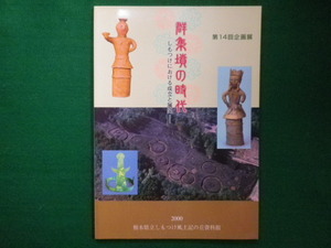 ■第14回企画展 群集墳の時代 しもつけにおける成立と展開　栃木県立しもつけ風土記の丘資料館 　2000年■F3IM2021011518■