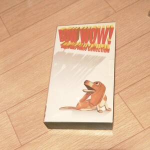 BOW WOW ビデオ　VHSテープ