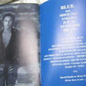 BLUE ブルー / STORIES デモテープ SHIGE Kain QUASER ENDLESS D≒SIRE 藤田幸也 YUKIYA Kreis D+ress Kill=slayd C4の画像8