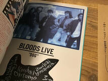 S/ツアーパンフレット/ハウンドドッグ/BLOODS LIVE/1986-88年_画像3