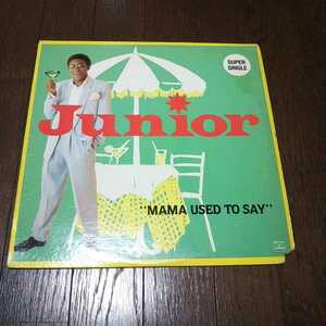 JUNIOR / MAMA USED TO SAY /TEE SCOTT/GARAGE/LARRY LEVAN/DOUBLE D & STEINSKI ネタ