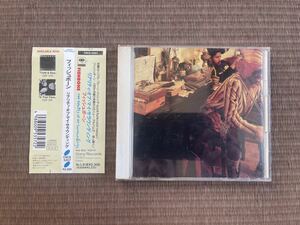 FISHBONE「THE REALITY OF MY SURROUNDINGS」フィッシュボーン　中古CD　帯付き　スカ　ファンク　パンク