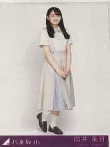 Art hand Auction Nogizaka46, 26-й сингл «Я люблю себя», первое фото ограниченного выпуска, не продаваемое Мукаи Хадзуки Зукки, неиспользованный и неоткрытый предмет ②, На ряду, из, Ногизака46