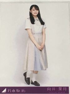 Art hand Auction 乃木坂46 26thシングル｢僕は僕を好きになる｣初回限定盤 非売品生写真 向井葉月 づっきー 未使用･未開封品 ②, な行, の, 乃木坂46