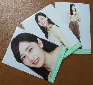 乃木坂46 向井葉月 メロートップス Web限定 生写真 3種 2020.November-Ⅲ コンプ