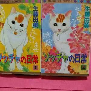 ゾッチャの日常の値段と価格推移は 29件の売買情報を集計したゾッチャの日常の価格や価値の推移データを公開