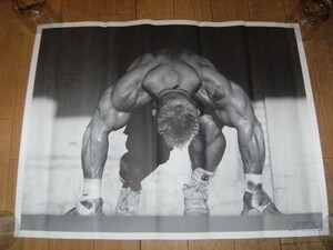  not for sale * Showa Retro *90 period *Mr.Olympia Lee Priest Lee Priest poster * body Bill, Gold Jim, Professional Wrestling * muscle .tore Match .