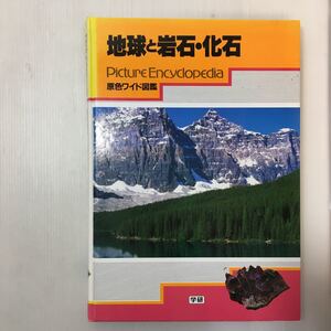 zaa-m1b♪原色ワイド図鑑―Picture encyclopedia(地球と岩石・化石) 大型 1996/4/20 斎藤靖二 (著) 学研