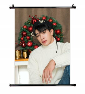 MONSTA X (モンスタ・エックス) ウォノ グッズ タベストリー 布ポスター 約41ｃｍ×57ｃｍ (D)