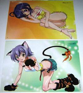  pin nap/ Negima!?/..& throat . other ( swimsuit / cat ear / meal . included )