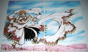 tsubasa-RESERVoir CHRoNiCLE-/ illustration 2-2/ Sakura & small .