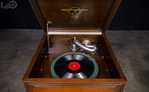 1920s Columbia 612 Viva-Tonal Phonograph 蓄音機 _画像6