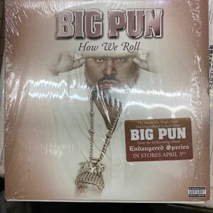 絶版　未使用　ビニール付き　big pun how we rollビックパンの激レアレコード