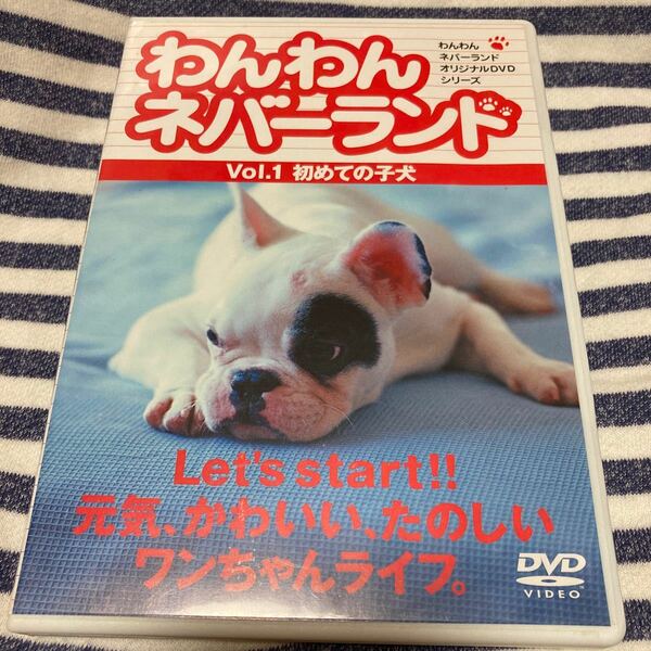 DVD わんわんネバーランド　vol.1 初めての子犬