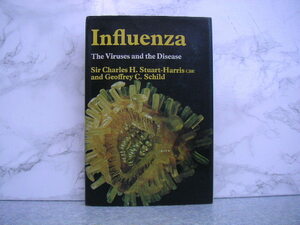 ∞　インフルエンザ：ウイルスと病気　Influenza　The Viruses and the Disease　●洋書です、英文表記●　Edward Arnold、刊